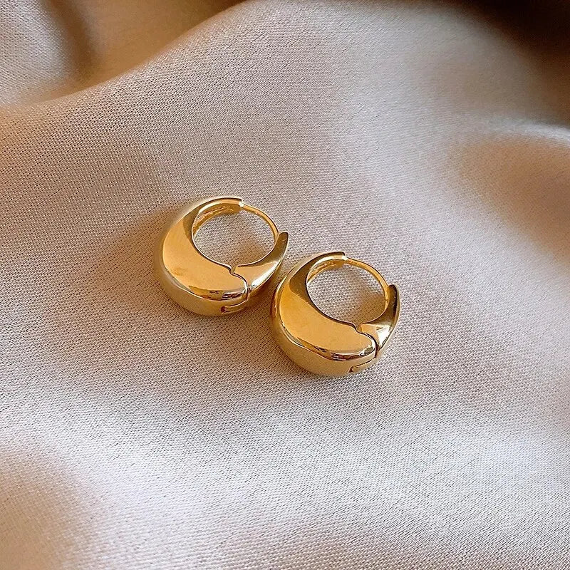 Punk Oval Hoop Earrings !